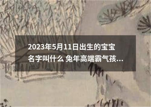 2023年5月11日出生的宝宝名字叫什么 兔年高端霸气孩子取名