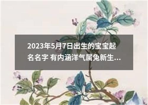 2023年5月7日出生的宝宝起名名字 有内涵洋气属兔新生儿起名