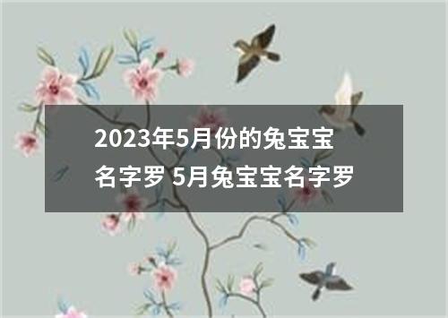2023年5月份的兔宝宝名字罗 5月兔宝宝名字罗