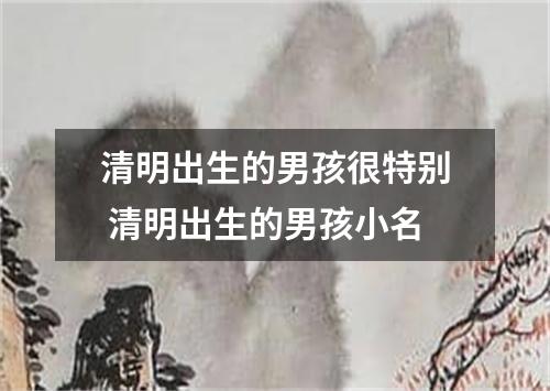 清明出生的男孩很特别 清明出生的男孩小名