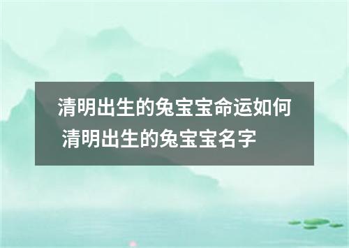 清明出生的兔宝宝命运如何 清明出生的兔宝宝名字