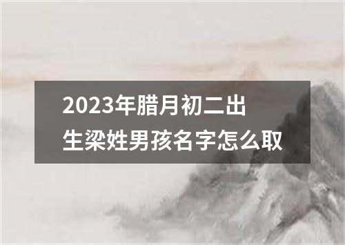 2023年腊月初二出生梁姓男孩名字怎么取