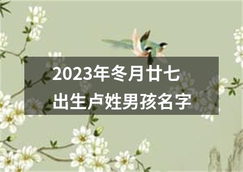 2023年冬月廿七出生卢姓男孩名字
