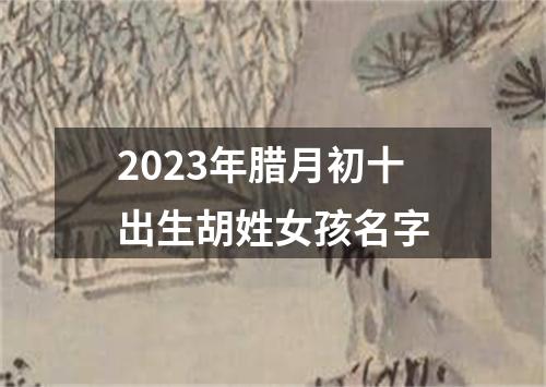 2023年腊月初十出生胡姓女孩名字