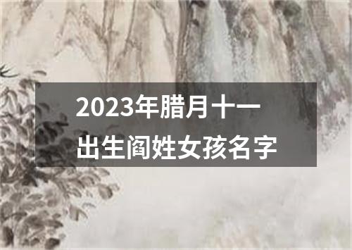 2023年腊月十一出生阎姓女孩名字