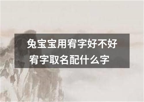 兔宝宝用宥字好不好 宥字取名配什么字