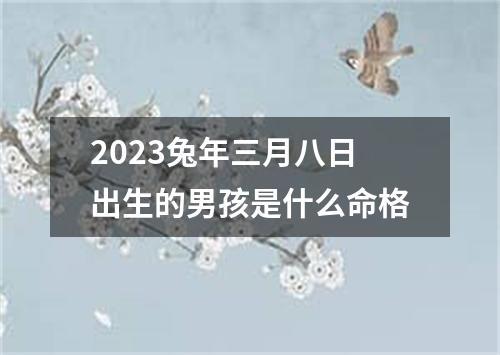 2023兔年三月八日出生的男孩是什么命格