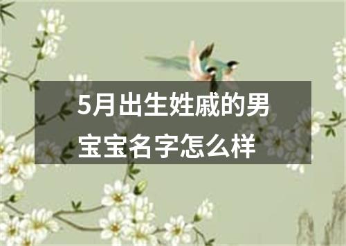 5月出生姓戚的男宝宝名字怎么样