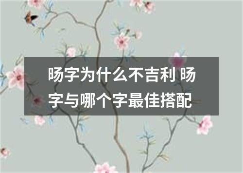 旸字为什么不吉利 旸字与哪个字最佳搭配