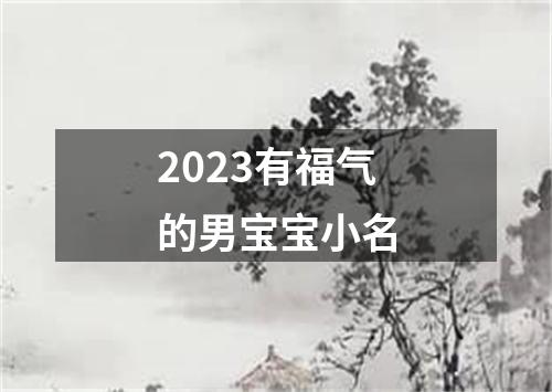 2023有福气的男宝宝小名