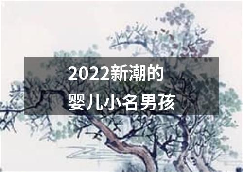 2022新潮的婴儿小名男孩