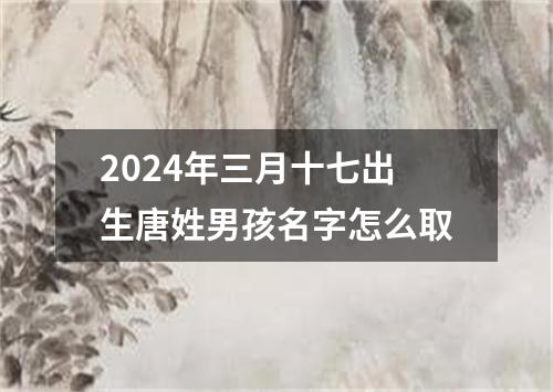 2024年三月十七出生唐姓男孩名字怎么取