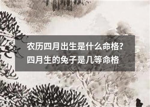 农历四月出生是什么命格?四月生的兔子是几等命格