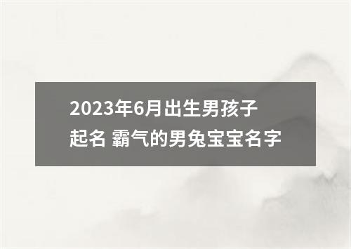 2023年6月出生男孩子起名 霸气的男兔宝宝名字