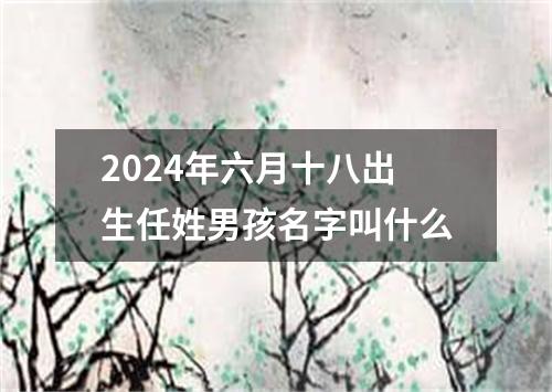 2024年六月十八出生任姓男孩名字叫什么