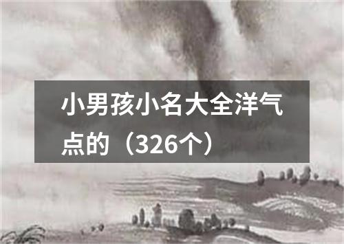 小男孩小名大全洋气点的（326个）