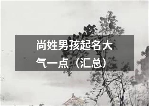 尚姓男孩起名大气一点(汇总)