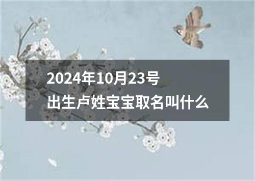2024年10月23号出生卢姓宝宝取名叫什么