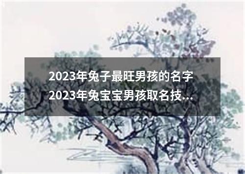 2023年兔子最旺男孩的名字 2023年兔宝宝男孩取名技巧