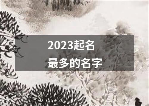 2023起名最多的名字