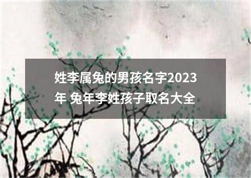 姓李属兔的男孩名字2023年 兔年李姓孩子取名大全