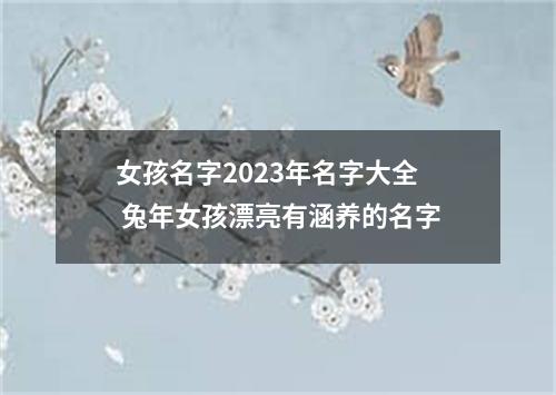 女孩名字2023年名字大全 兔年女孩漂亮有涵养的名字