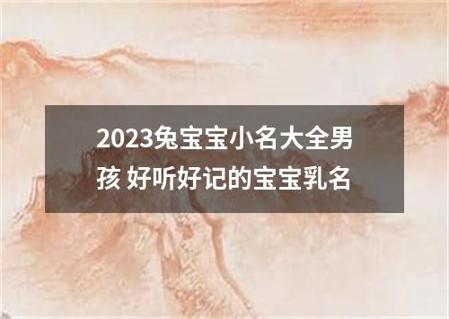 2023兔宝宝小名大全男孩 好听好记的宝宝乳名