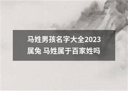 马姓男孩名字大全2023属兔 马姓属于百家姓吗