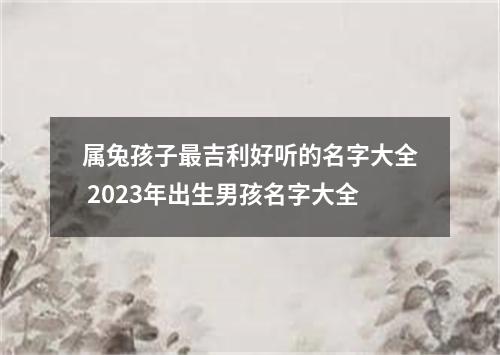 属兔孩子最吉利好听的名字大全 2023年出生男孩名字大全
