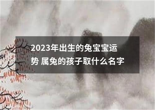 2023年出生的兔宝宝运势 属兔的孩子取什么名字
