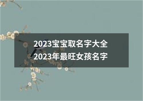 2023宝宝取名字大全 2023年最旺女孩名字