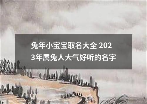 兔年小宝宝取名大全 2023年属兔人大气好听的名字