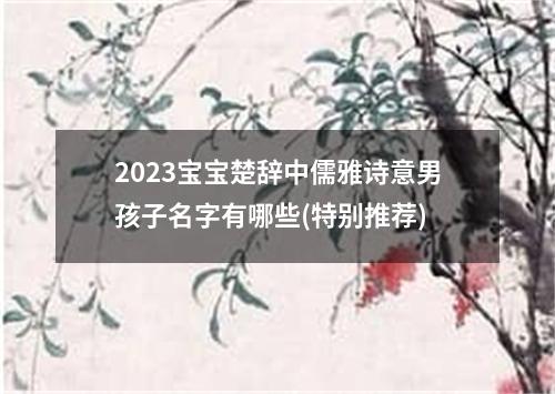 2023宝宝楚辞中儒雅诗意男孩子名字有哪些(特别推荐)