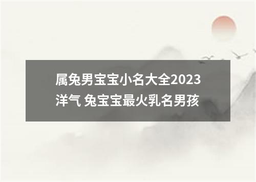 属兔男宝宝小名大全2023洋气 兔宝宝最火乳名男孩