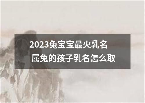 2023兔宝宝最火乳名 属兔的孩子乳名怎么取