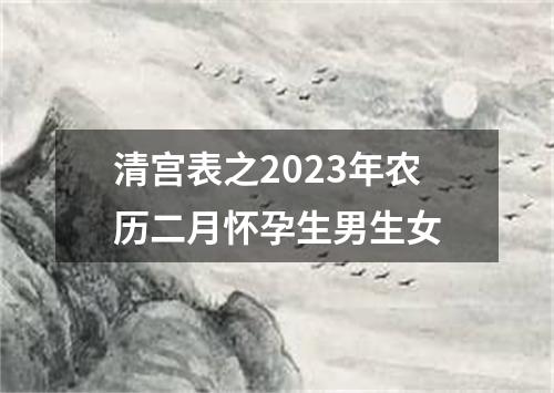 清宫表之2023年农历二月怀孕生男生女