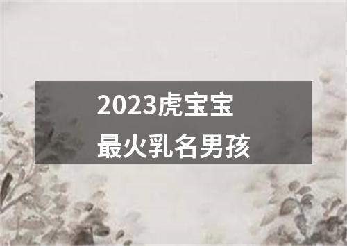 2023虎宝宝最火乳名男孩