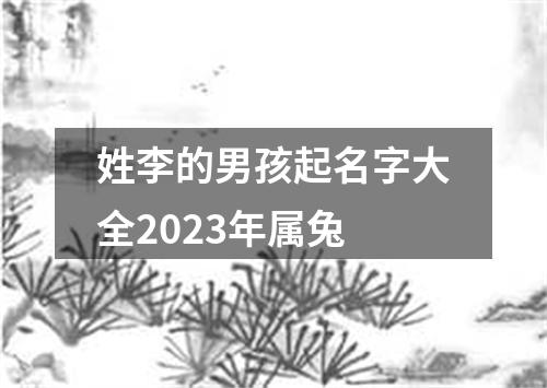 姓李的男孩起名字大全2023年属兔