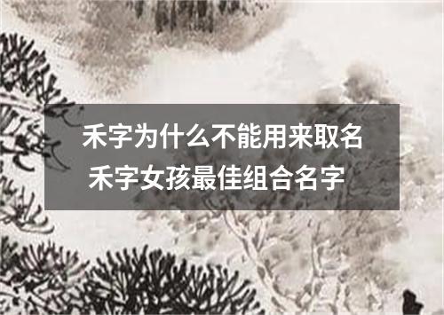 禾字为什么不能用来取名 禾字女孩最佳组合名字