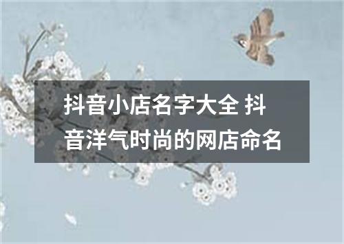 抖音小店名字大全 抖音洋气时尚的网店命名