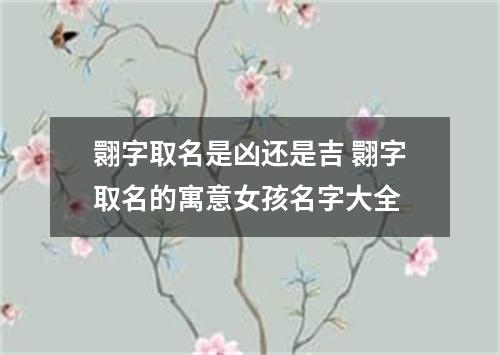 翾字取名是凶还是吉 翾字取名的寓意女孩名字大全