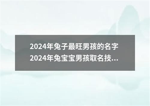 2024年兔子最旺男孩的名字 2024年兔宝宝男孩取名技巧