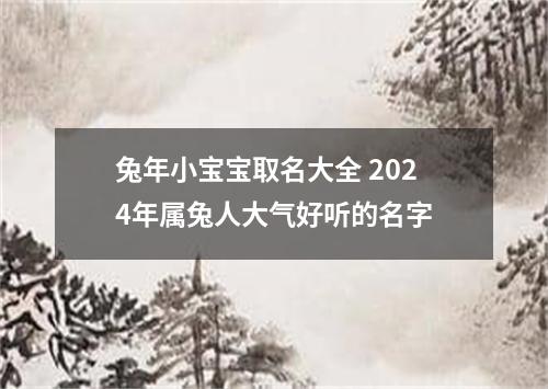 兔年小宝宝取名大全 2024年属兔人大气好听的名字