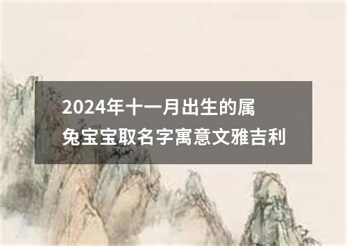 2024年十一月出生的属兔宝宝取名字寓意文雅吉利
