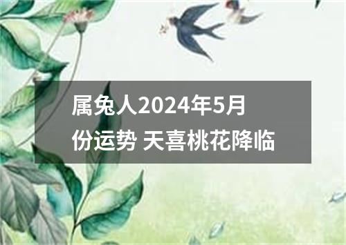 属兔人2024年5月份运势 天喜桃花降临