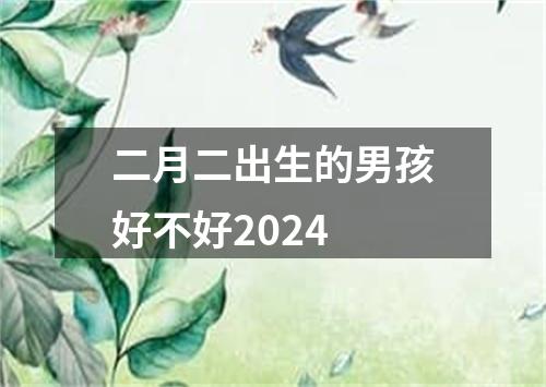 二月二出生的男孩好不好2024