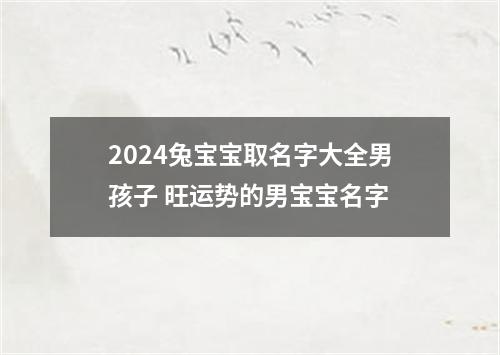 2024兔宝宝取名字大全男孩子 旺运势的男宝宝名字