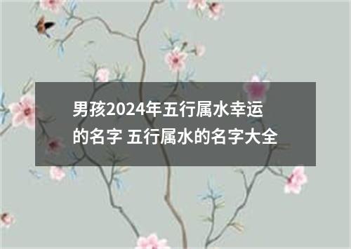 男孩2024年五行属水幸运的名字 五行属水的名字大全