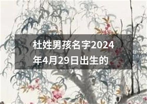 杜姓男孩名字2024年4月29日出生的