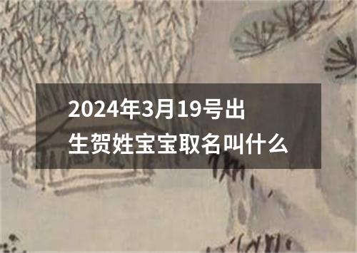 2024年3月19号出生贺姓宝宝取名叫什么